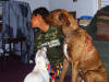 Adon, Dash & Goofy